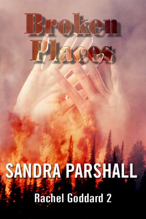 [Rachel Goddard Mystery 03] • Broken Places